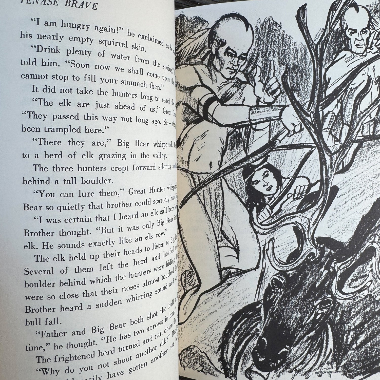 Tenase Brave, 1971, Marion Herndon Dunn, Signed - Pretty Old Books