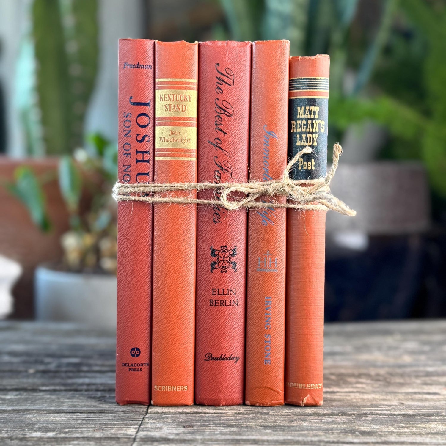 Terra Cotta Mid Century Decorative Books for Shelf Styling - Pretty Old Books
