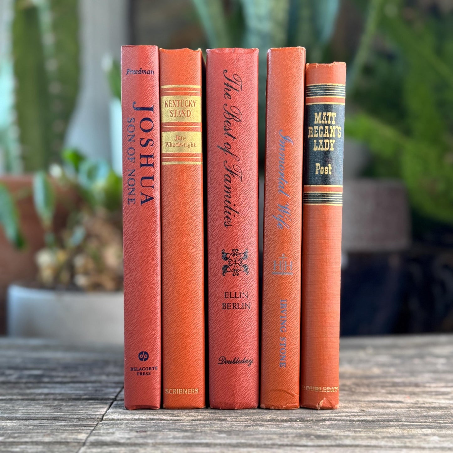 Terra Cotta Mid Century Decorative Books for Shelf Styling - Pretty Old Books