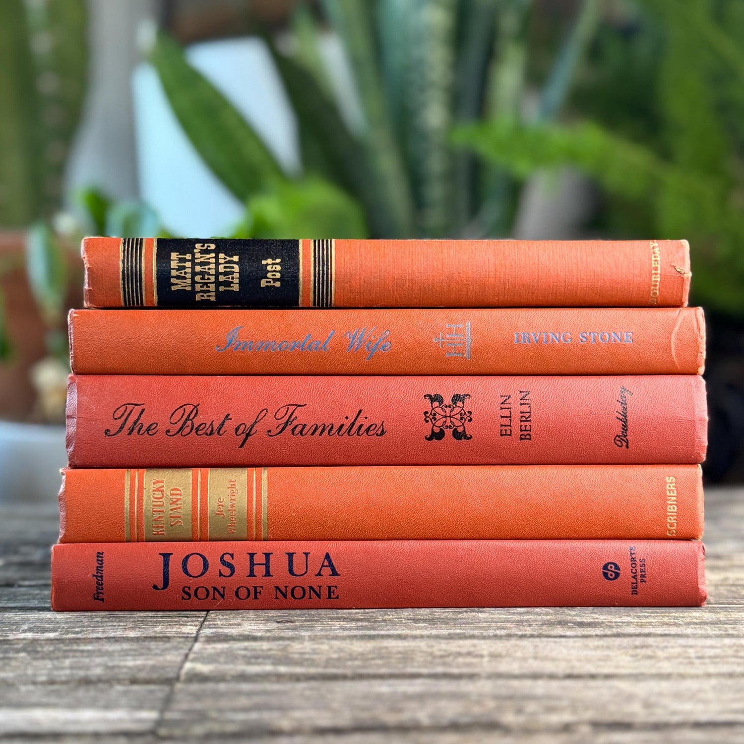 Terra Cotta Mid Century Decorative Books for Shelf Styling - Pretty Old Books