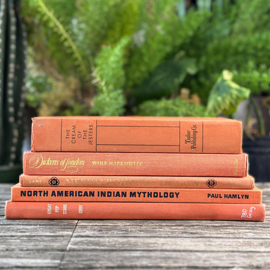 Terra Cotta Orange Decorative Vintage Coffee Table Book Set - Pretty Old Books