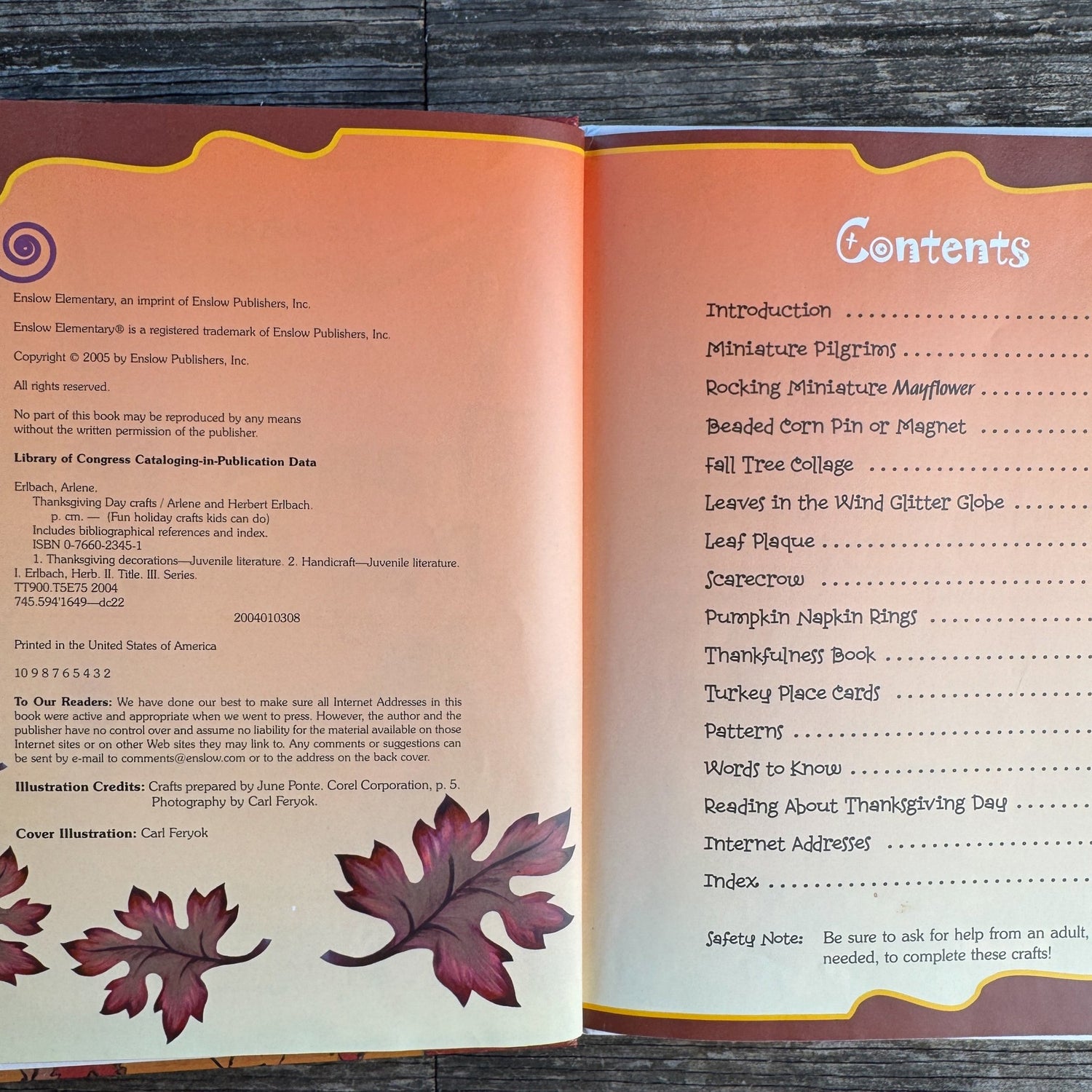 Thanksgiving Day Crafts, 2005 Hardcover - Pretty Old Books