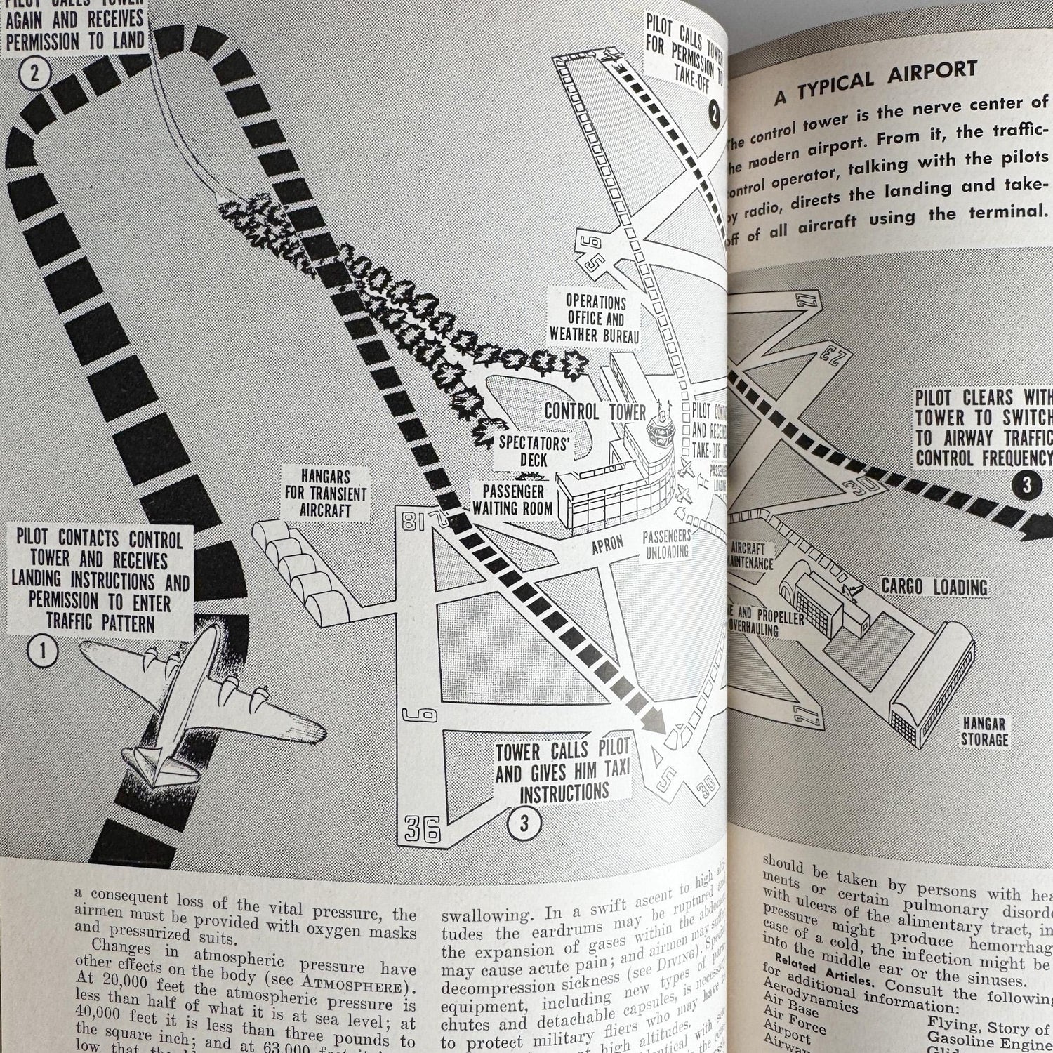 The American Educator Library Book Set, Complete, 1960, Mid - Century Book Set - Pretty Old Books