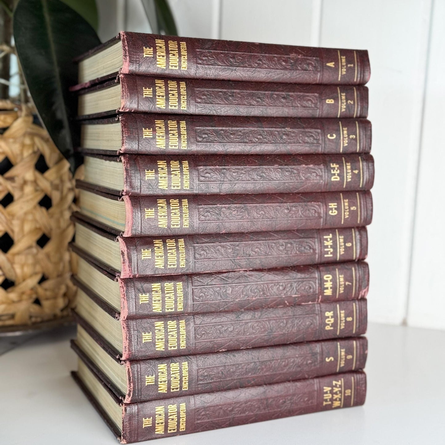 The American Educator Library Book Set, Complete, 1960, Mid - Century Book Set - Pretty Old Books