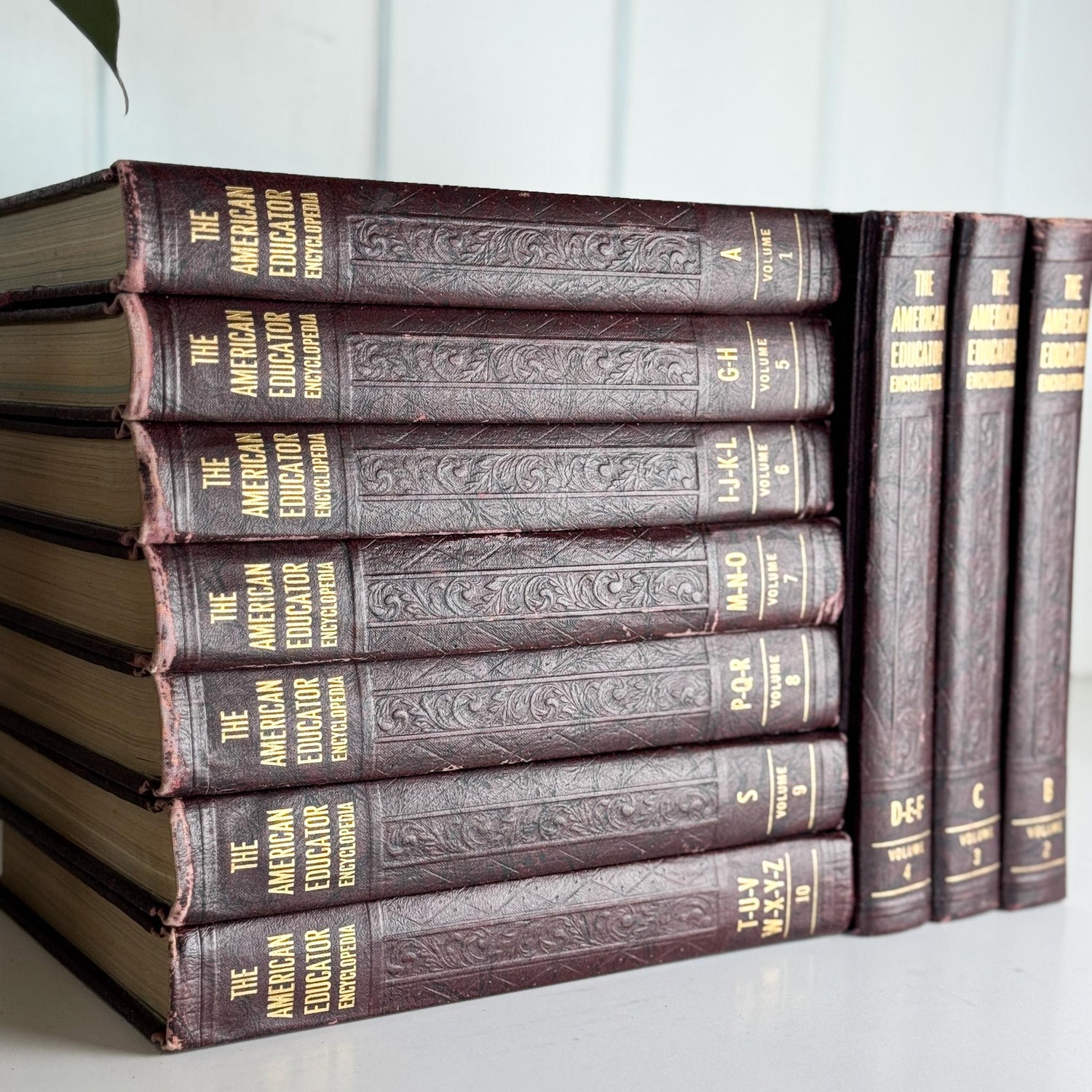 The American Educator Library Book Set, Complete, 1960, Mid - Century Book Set - Pretty Old Books