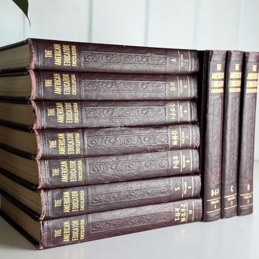 The American Educator Library Book Set, Complete, 1960, Mid - Century Book Set - Pretty Old Books