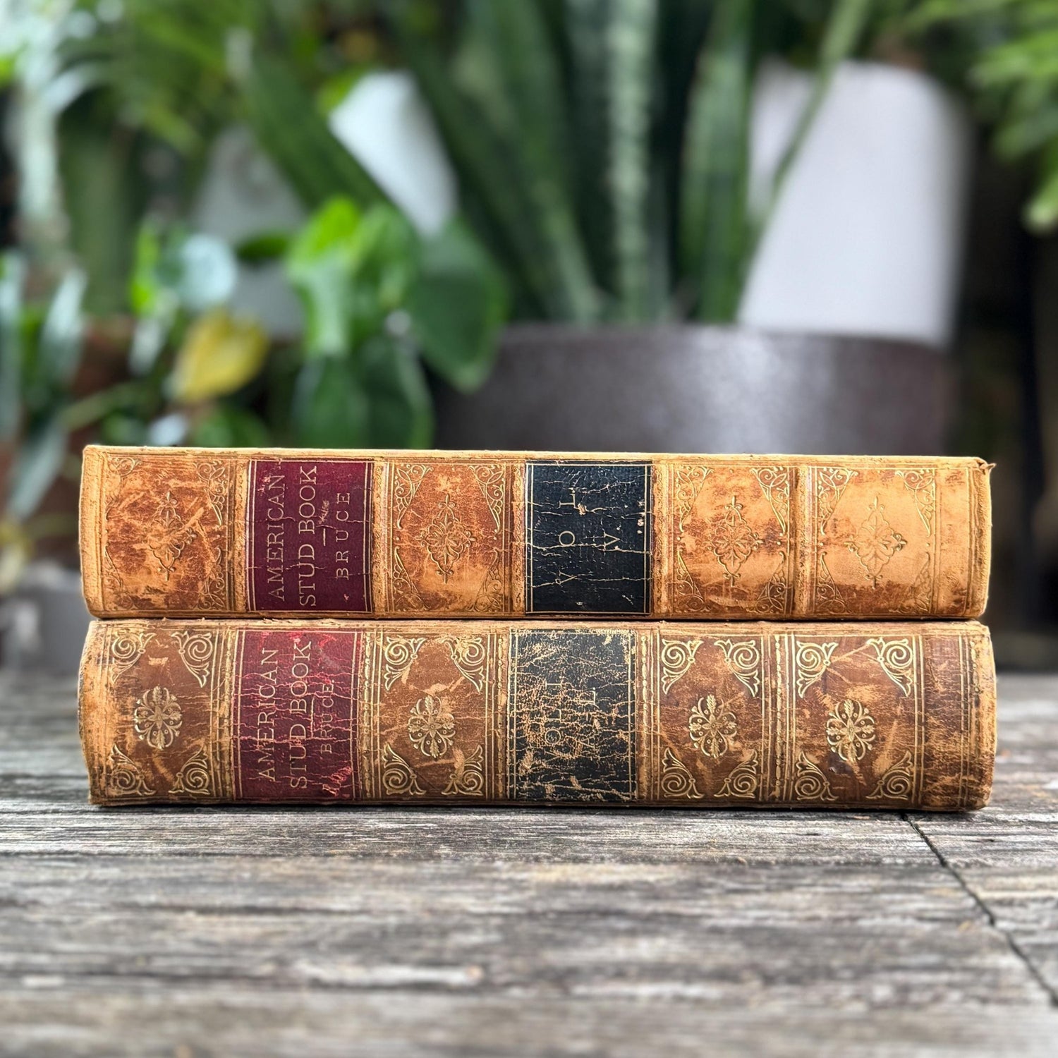 The American Stud Book, 1800s Horse - Racing Leather Bound Books - Pretty Old Books