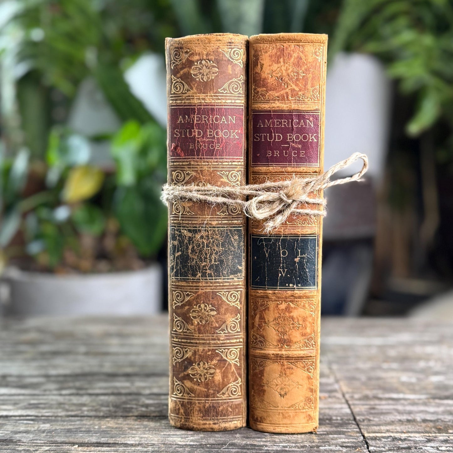 The American Stud Book, 1800s Horse - Racing Leather Bound Books - Pretty Old Books