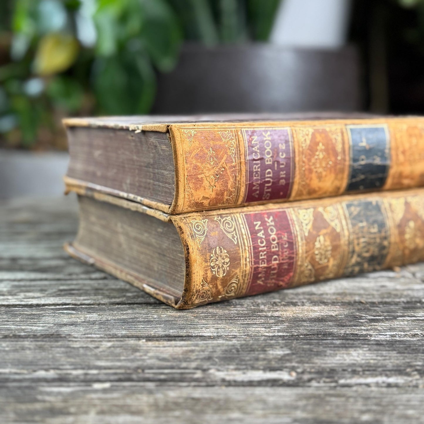 The American Stud Book, 1800s Horse - Racing Leather Bound Books - Pretty Old Books
