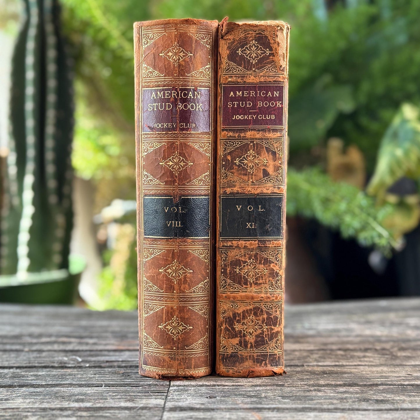 The American Stud Book, 1800s Horse - Racing Leather Bound Books - Pretty Old Books