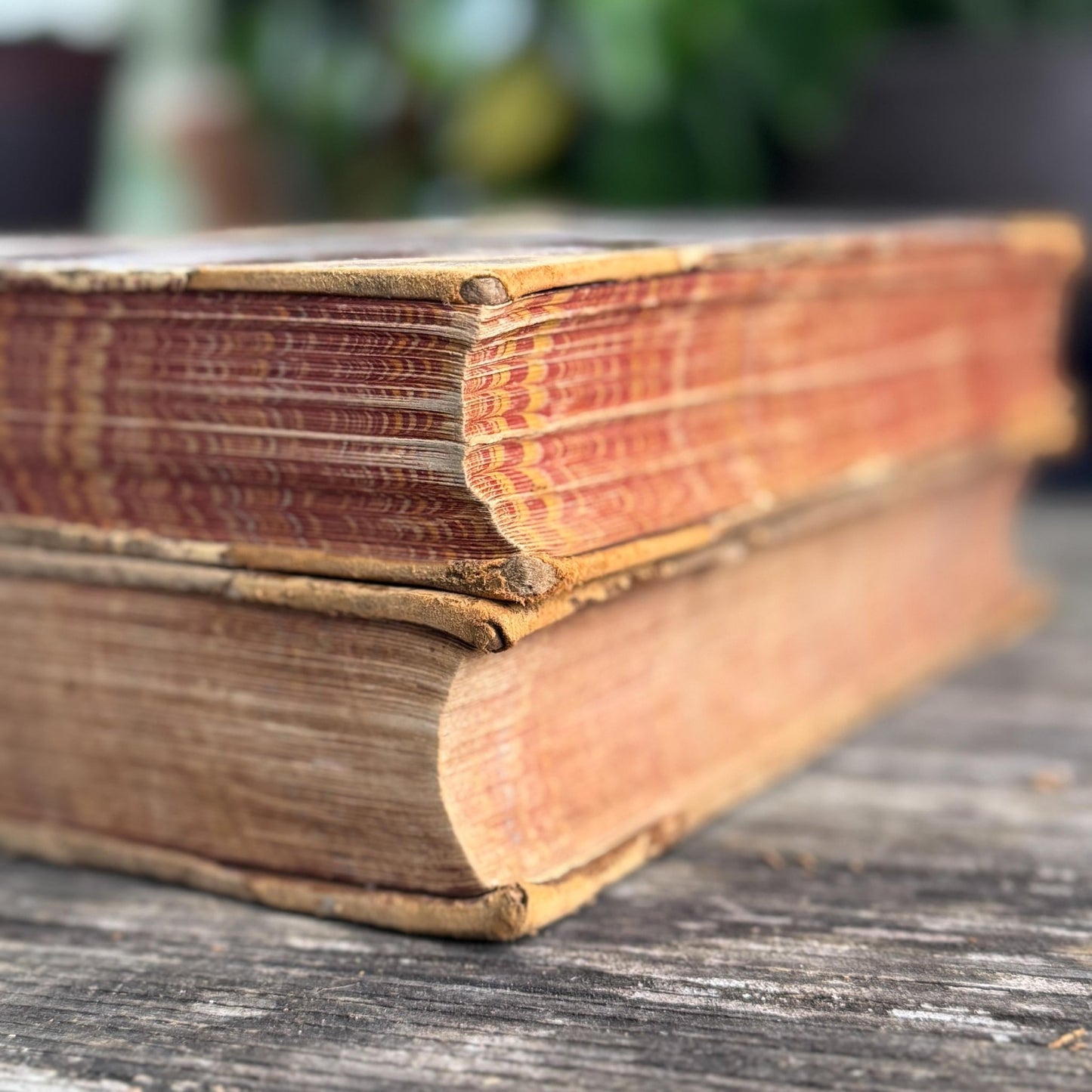 The American Stud Book, 1800s Horse - Racing Leather Bound Books - Pretty Old Books