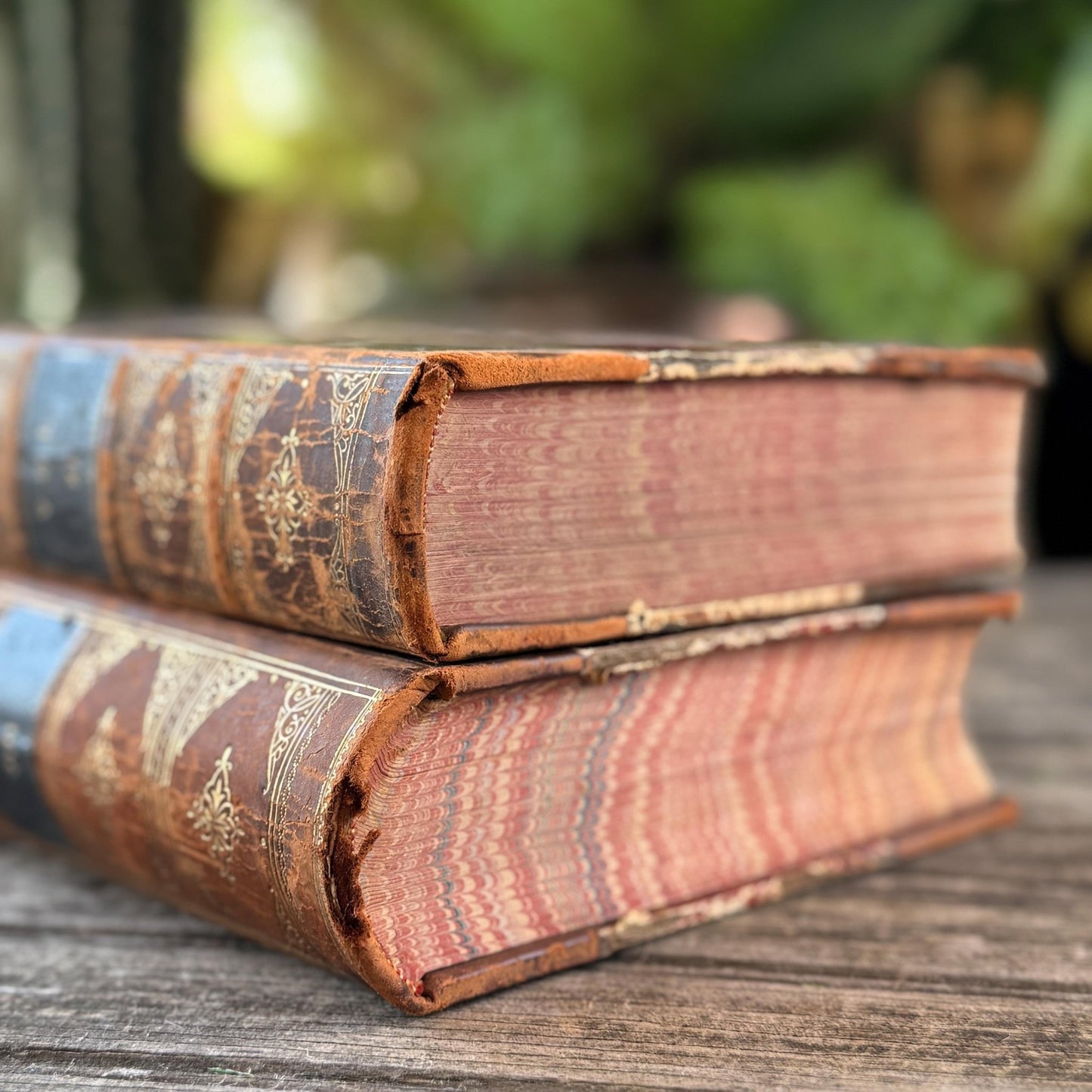 The American Stud Book, 1800s Horse - Racing Leather Bound Books - Pretty Old Books