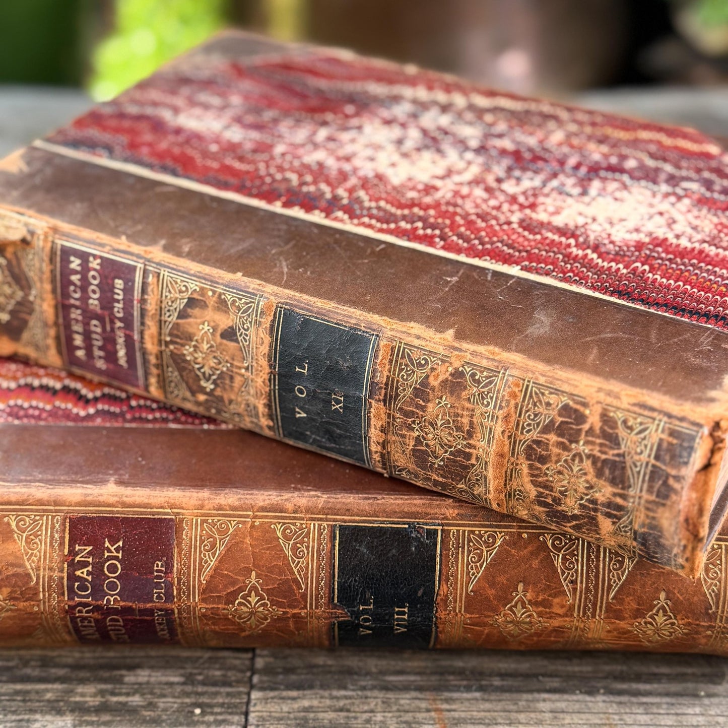 The American Stud Book, 1800s Horse - Racing Leather Bound Books - Pretty Old Books