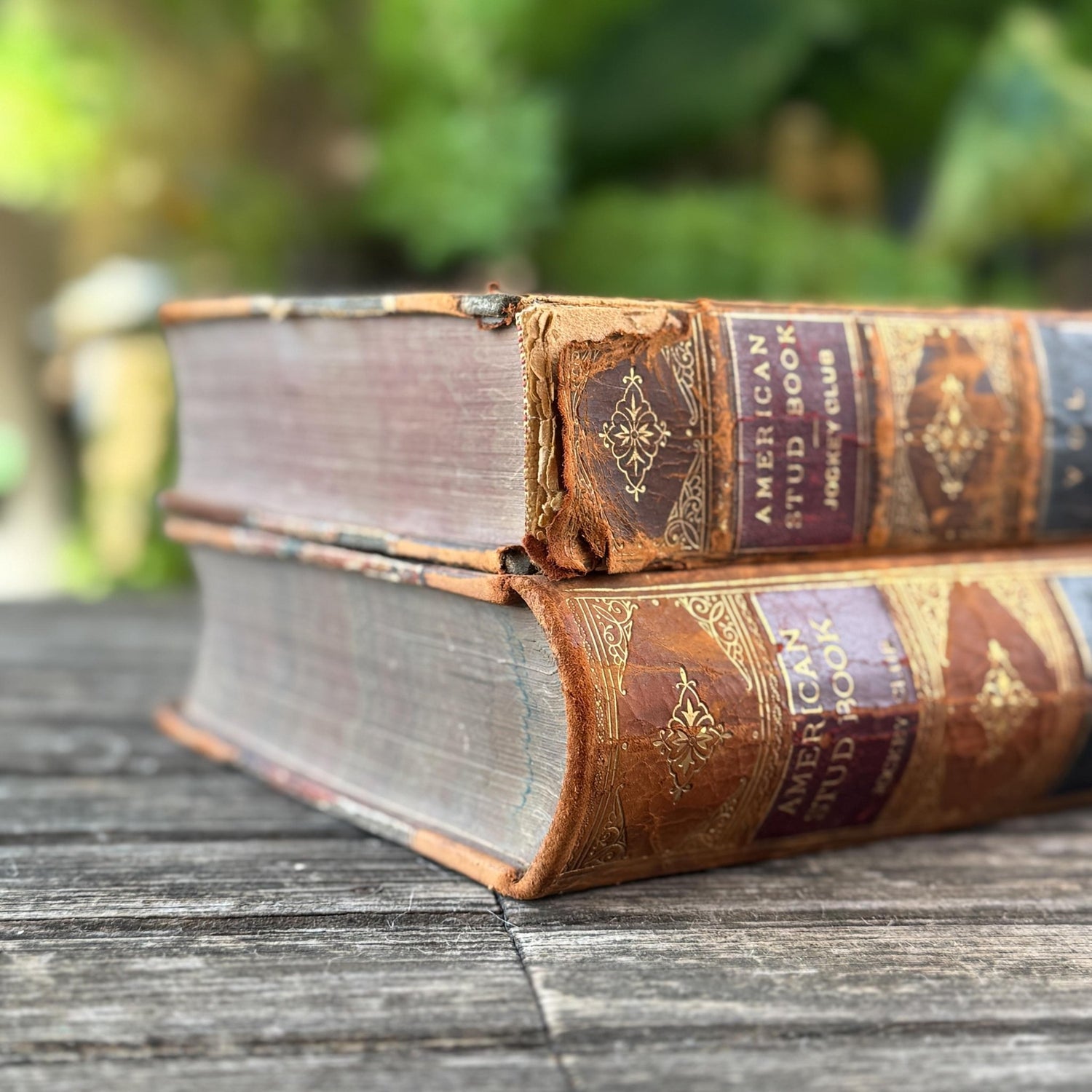 The American Stud Book, 1800s Horse - Racing Leather Bound Books - Pretty Old Books