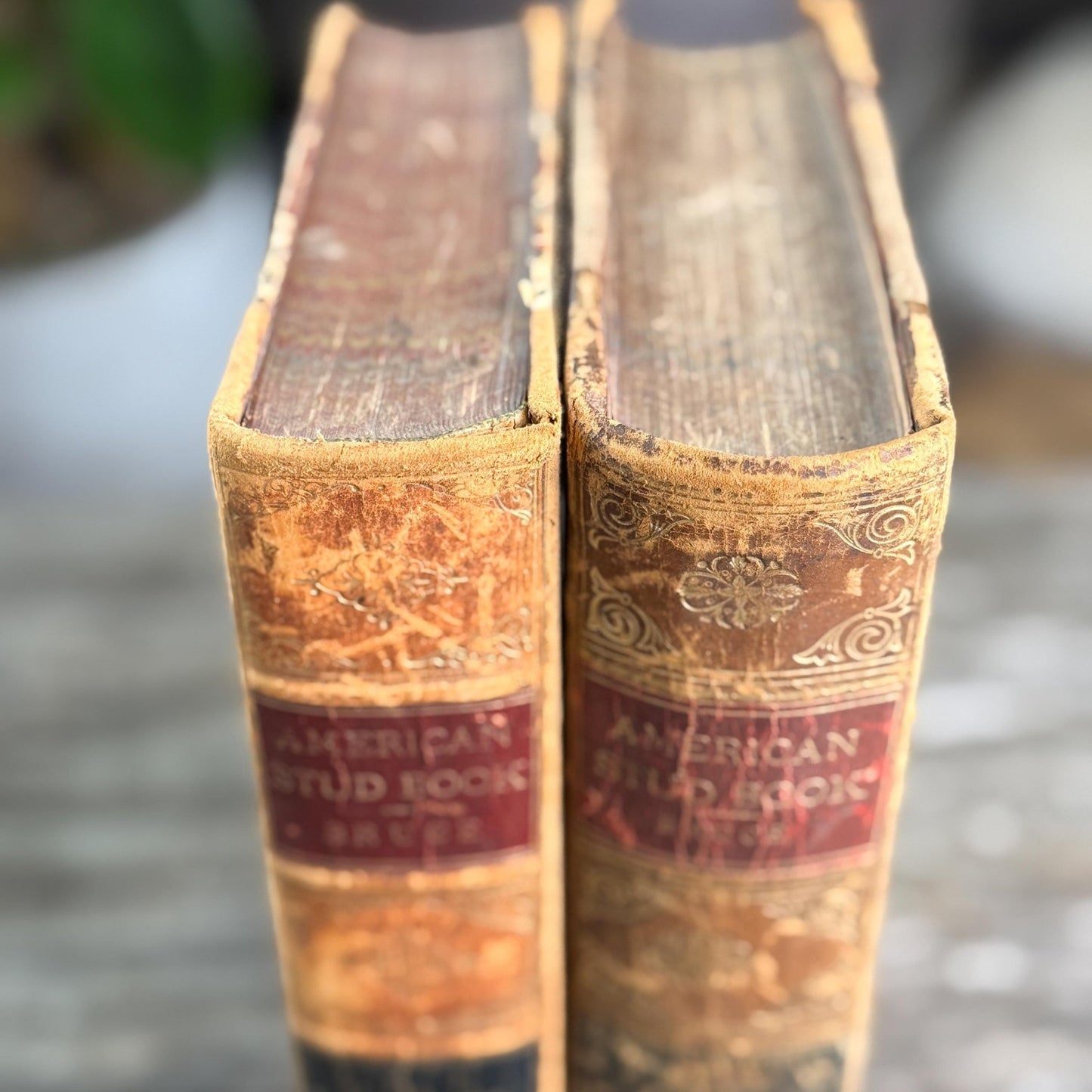 The American Stud Book, 1800s Horse - Racing Leather Bound Books - Pretty Old Books