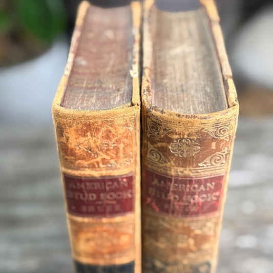 The American Stud Book, 1800s Horse - Racing Leather Bound Books - Pretty Old Books