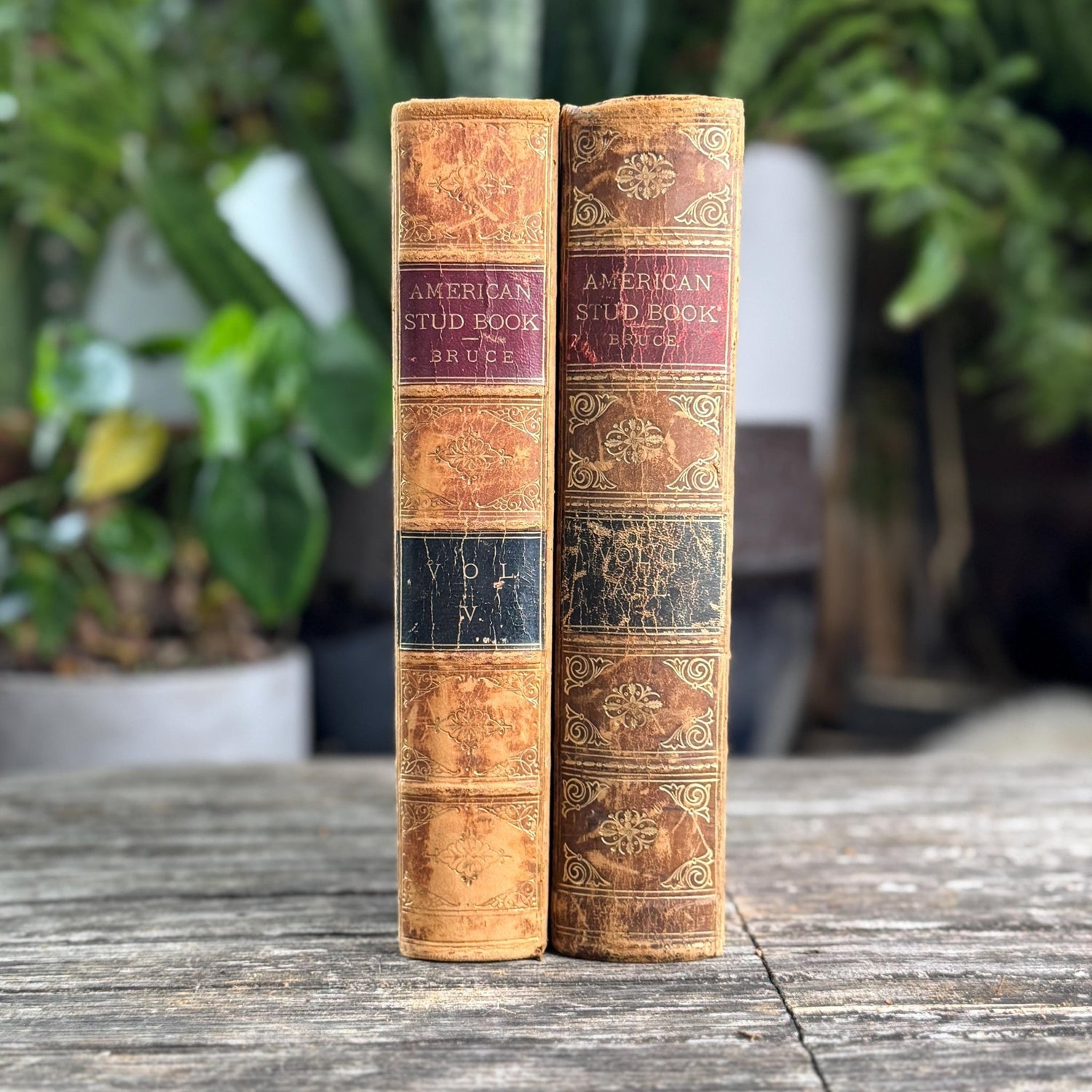 Antique Leather-Bound Book Bundles and Sets