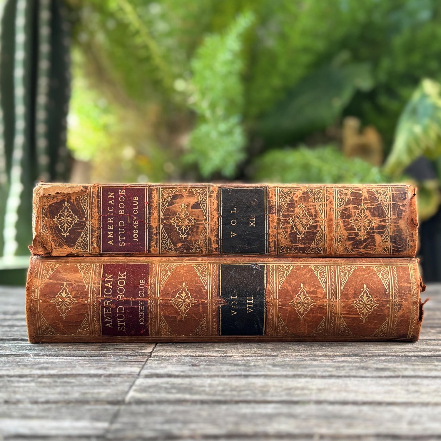 Antique Leather-Bound Book Bundles and Sets