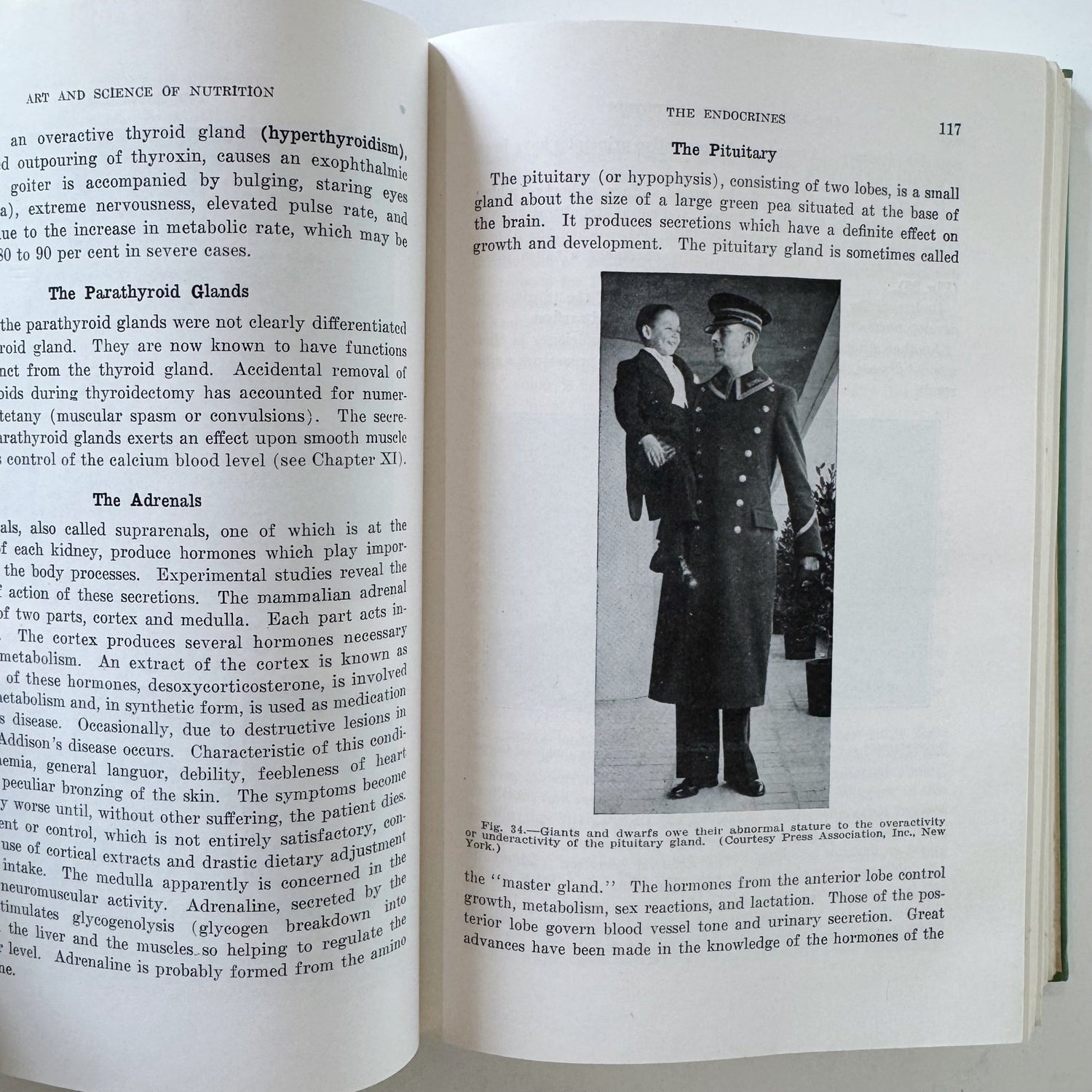 The Art and Science of Nutrition, 1948 Textbook - Pretty Old Books