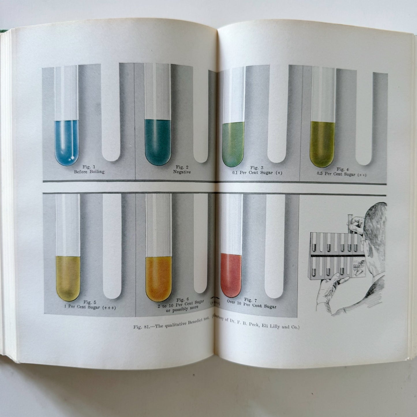 The Art and Science of Nutrition, 1948 Textbook - Pretty Old Books