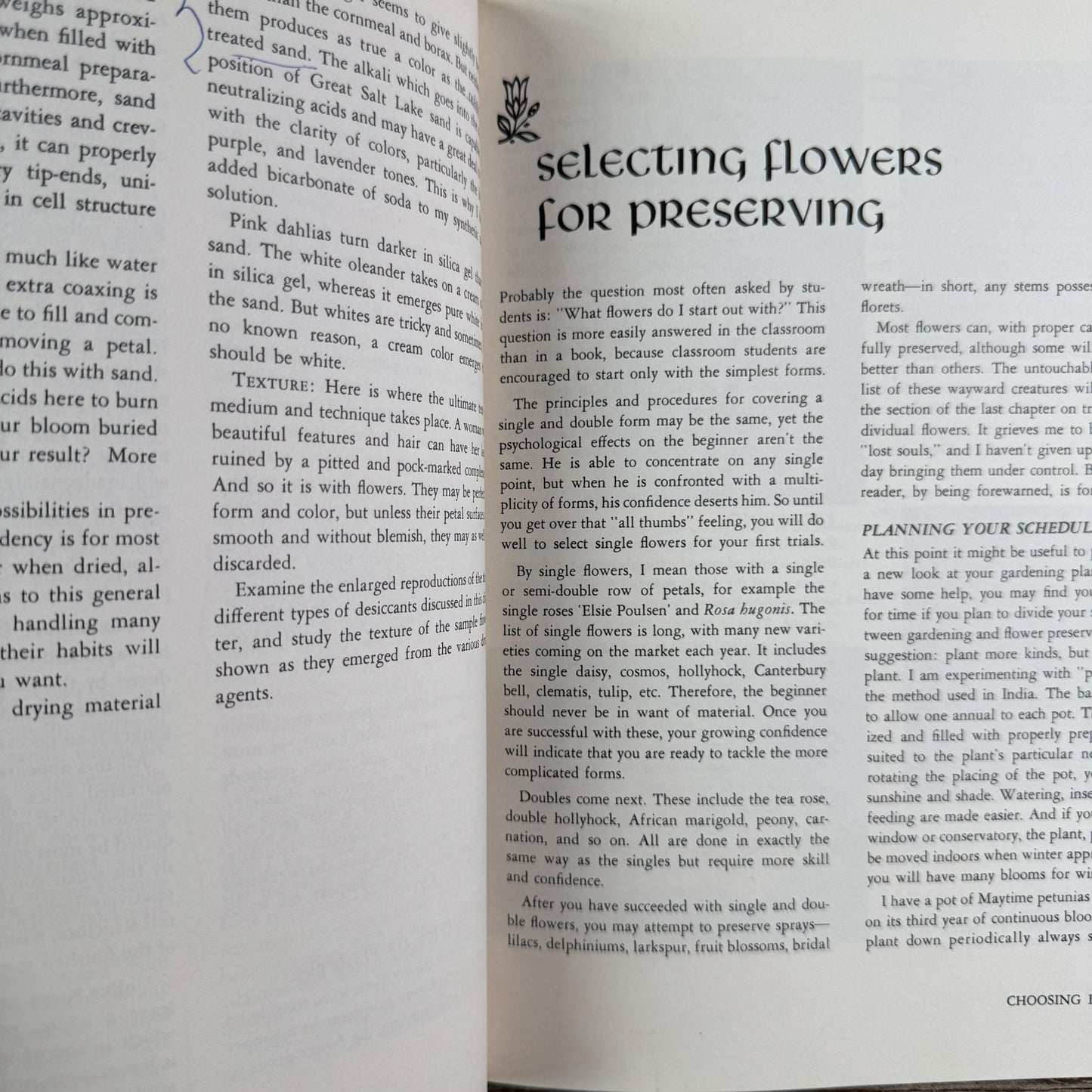 The Art of Flower Preservation, Sunset Magazine, 1962 - Pretty Old Books