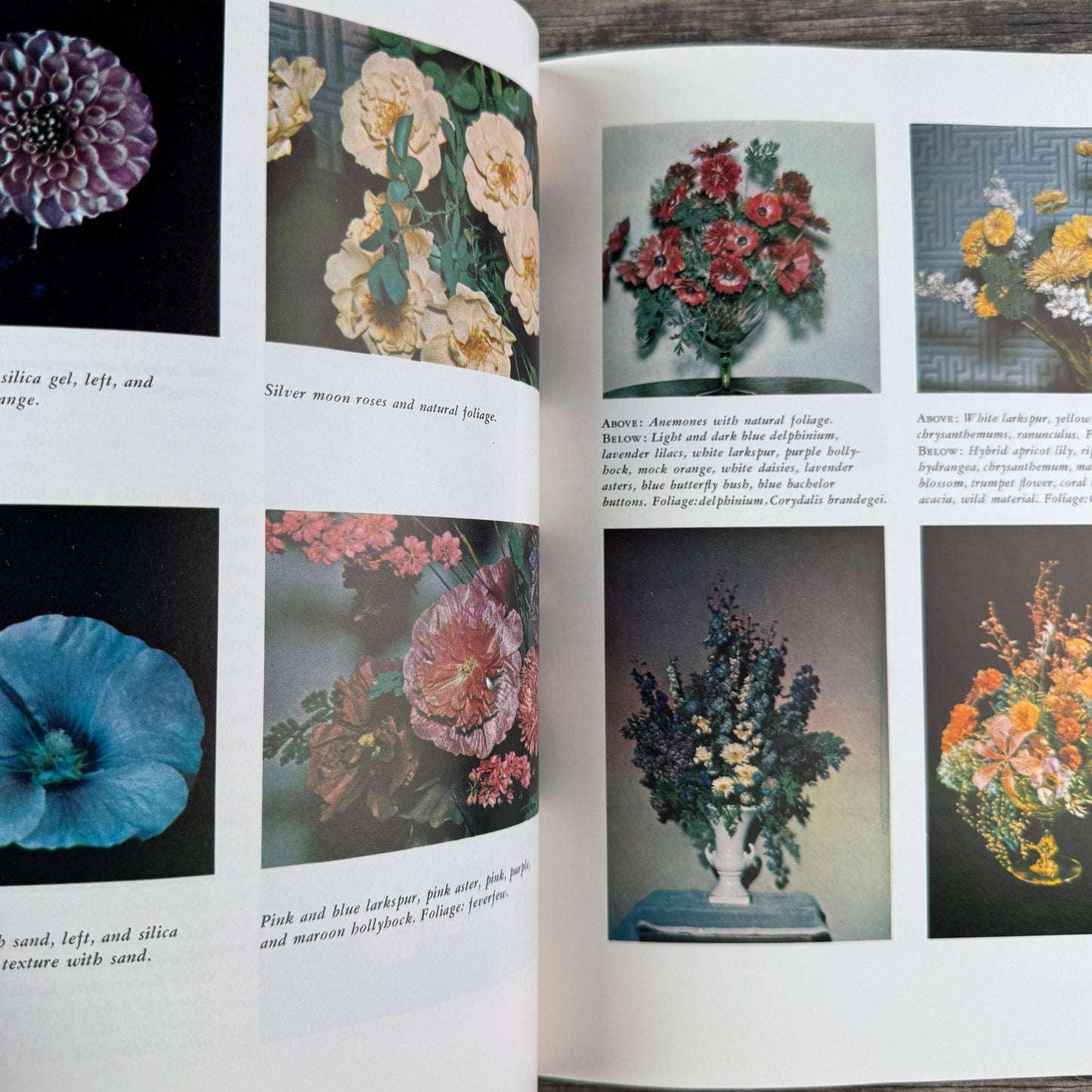 The Art of Flower Preservation, Sunset Magazine, 1962 - Pretty Old Books
