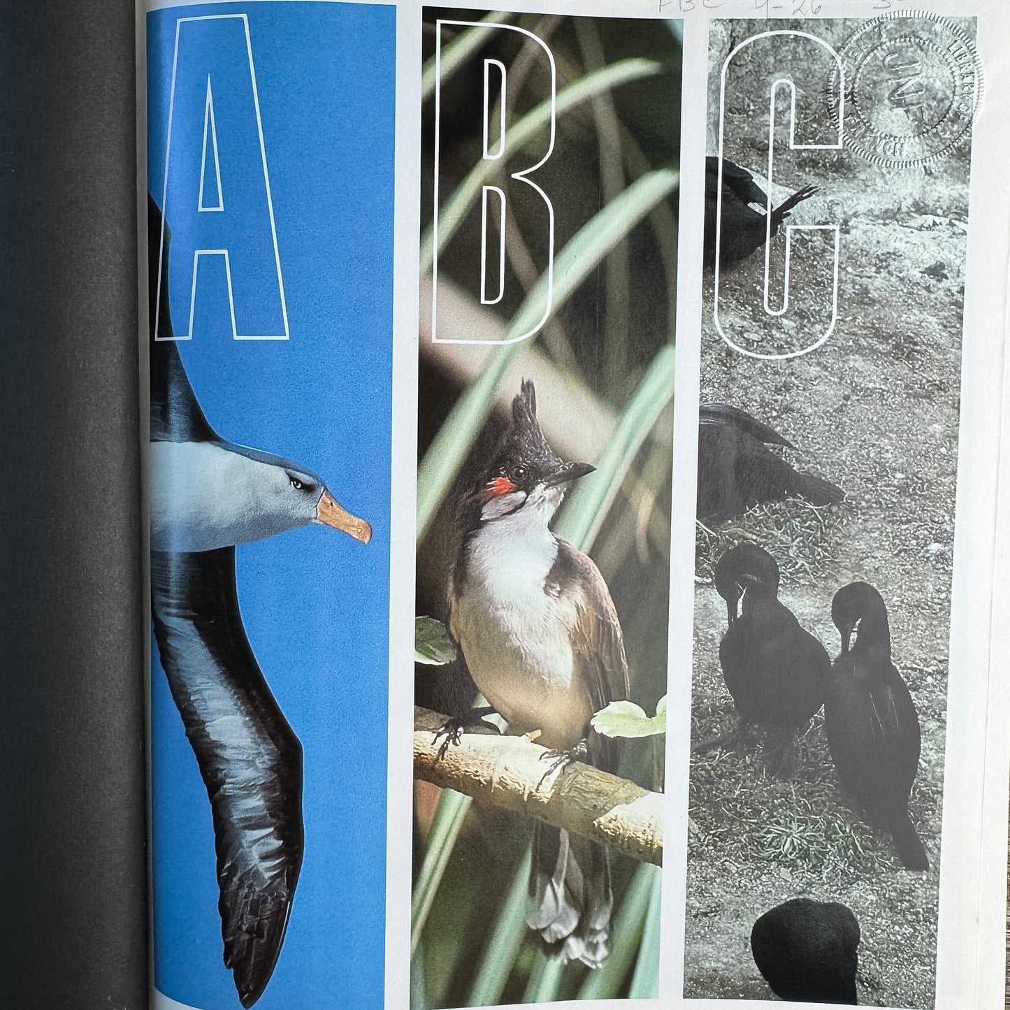 The Audubon Society Encyclopedia of North American Birds, John K. Terres, 1980 - Pretty Old Books