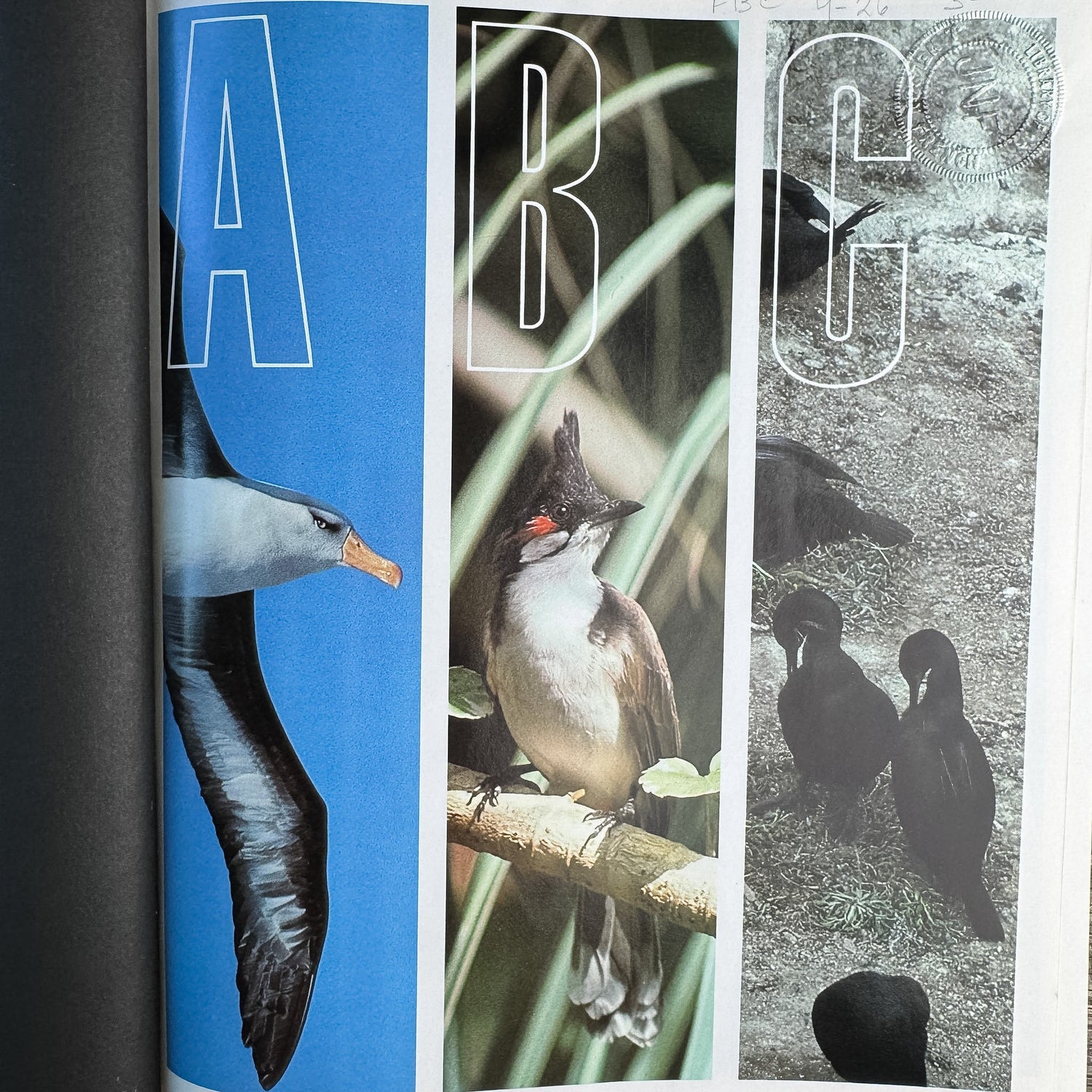 The Audubon Society Encyclopedia of North American Birds, John K. Terres, 1980 - Pretty Old Books