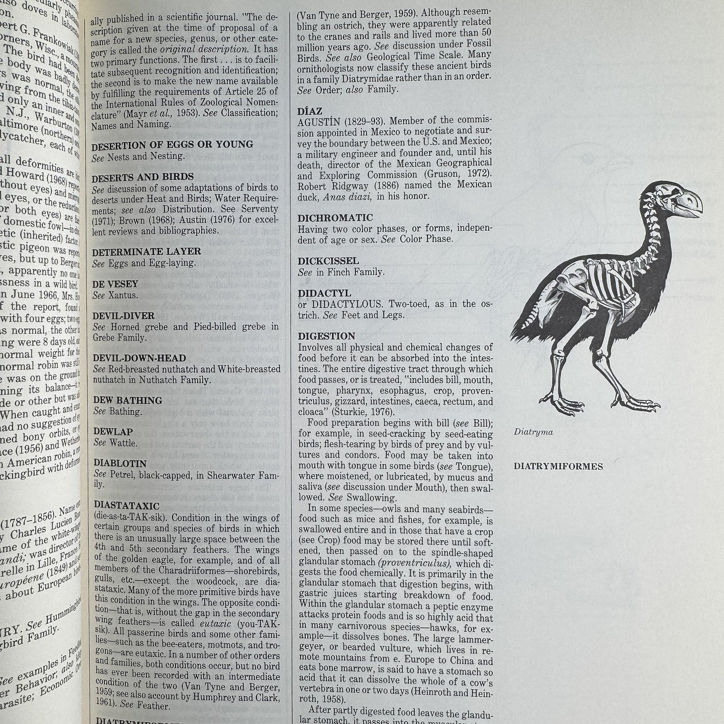 The Audubon Society Encyclopedia of North American Birds, John K. Terres, 1980 - Pretty Old Books