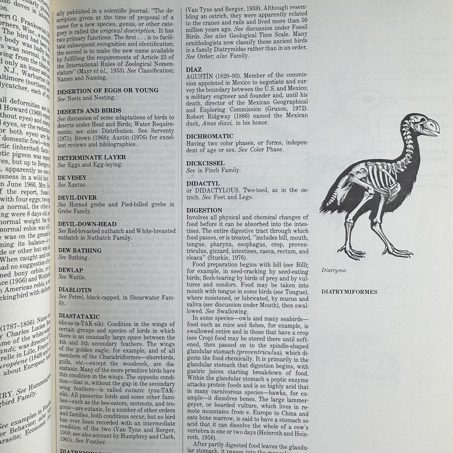 The Audubon Society Encyclopedia of North American Birds, John K. Terres, 1980 - Pretty Old Books