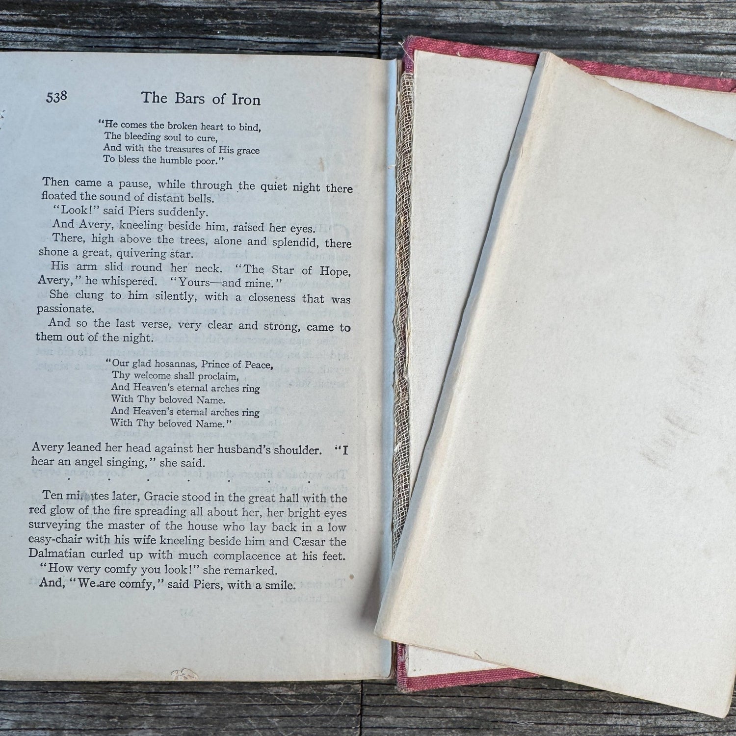 The Bars of Iron, Ethel M. Dell, 1916, A. L. Burt Company Hardcover - Pretty Old Books