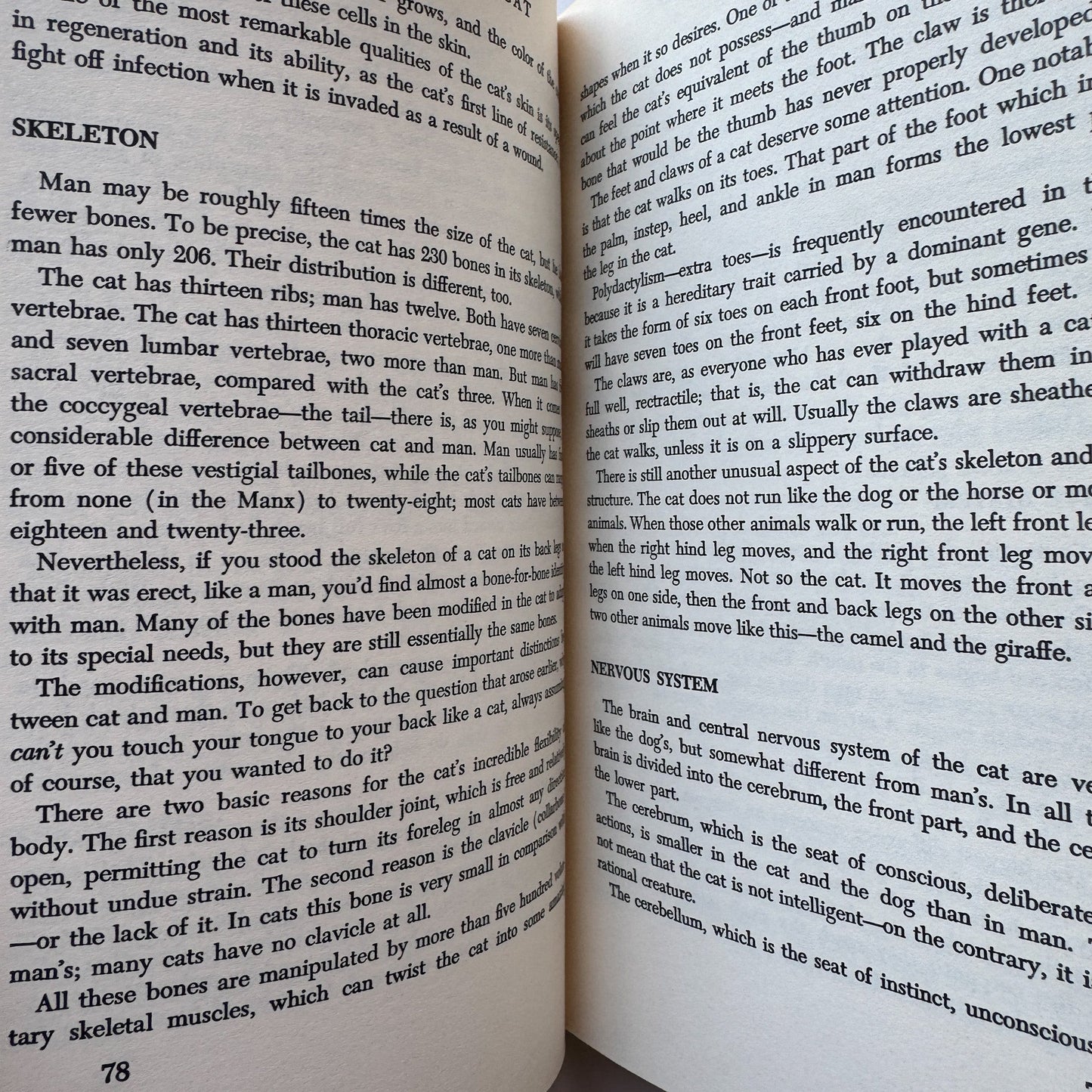 The Basic Book of the Cat, 1963, William H.A. Carr - Pretty Old Books