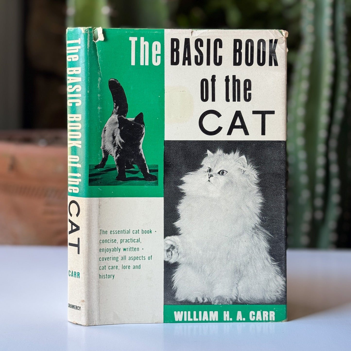 The Basic Book of the Cat, 1963, William H.A. Carr - Pretty Old Books