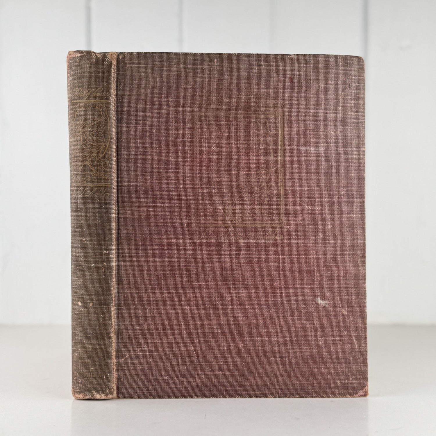 The Birds of America, 1946, John James Audubon, 5th Printing, Oversized Hardcover - Pretty Old Books