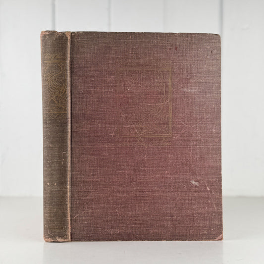 The Birds of America, 1946, John James Audubon, 5th Printing, Oversized Hardcover - Pretty Old Books