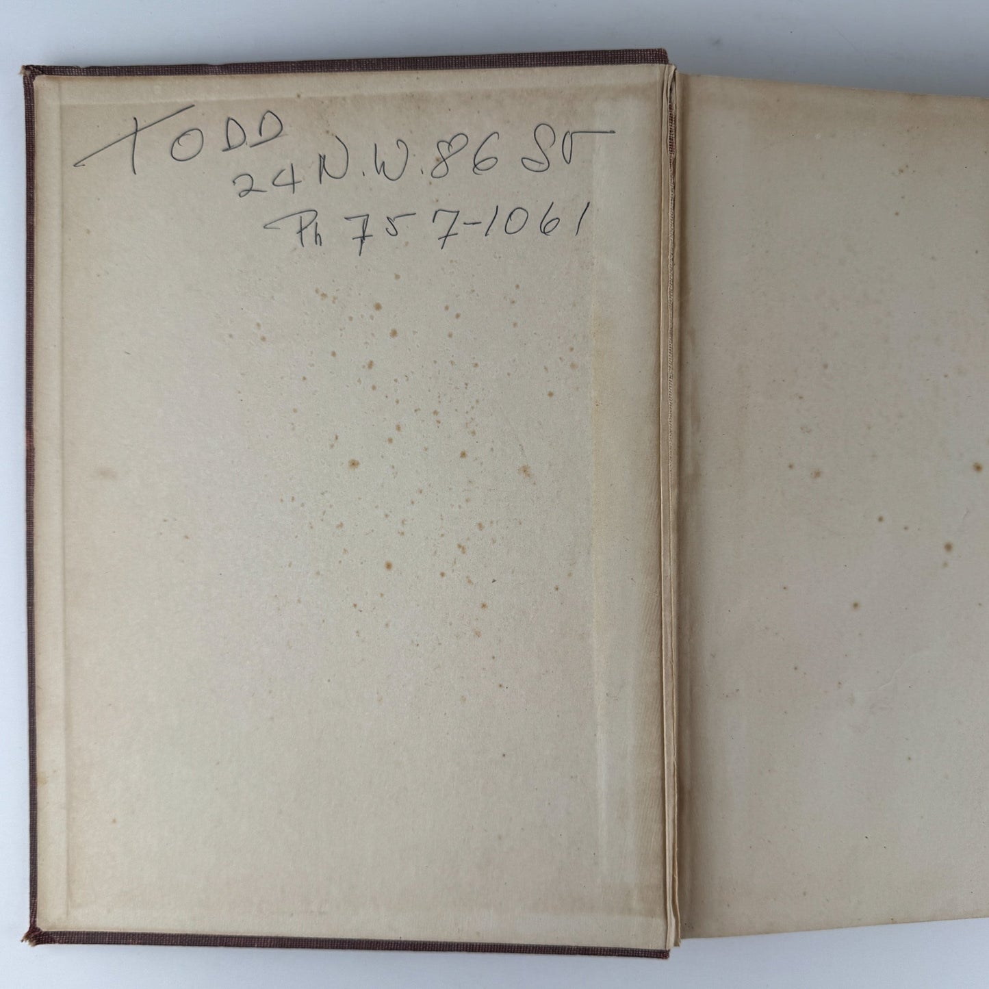 The Birds of America, 1946, John James Audubon, 5th Printing, Oversized Hardcover - Pretty Old Books