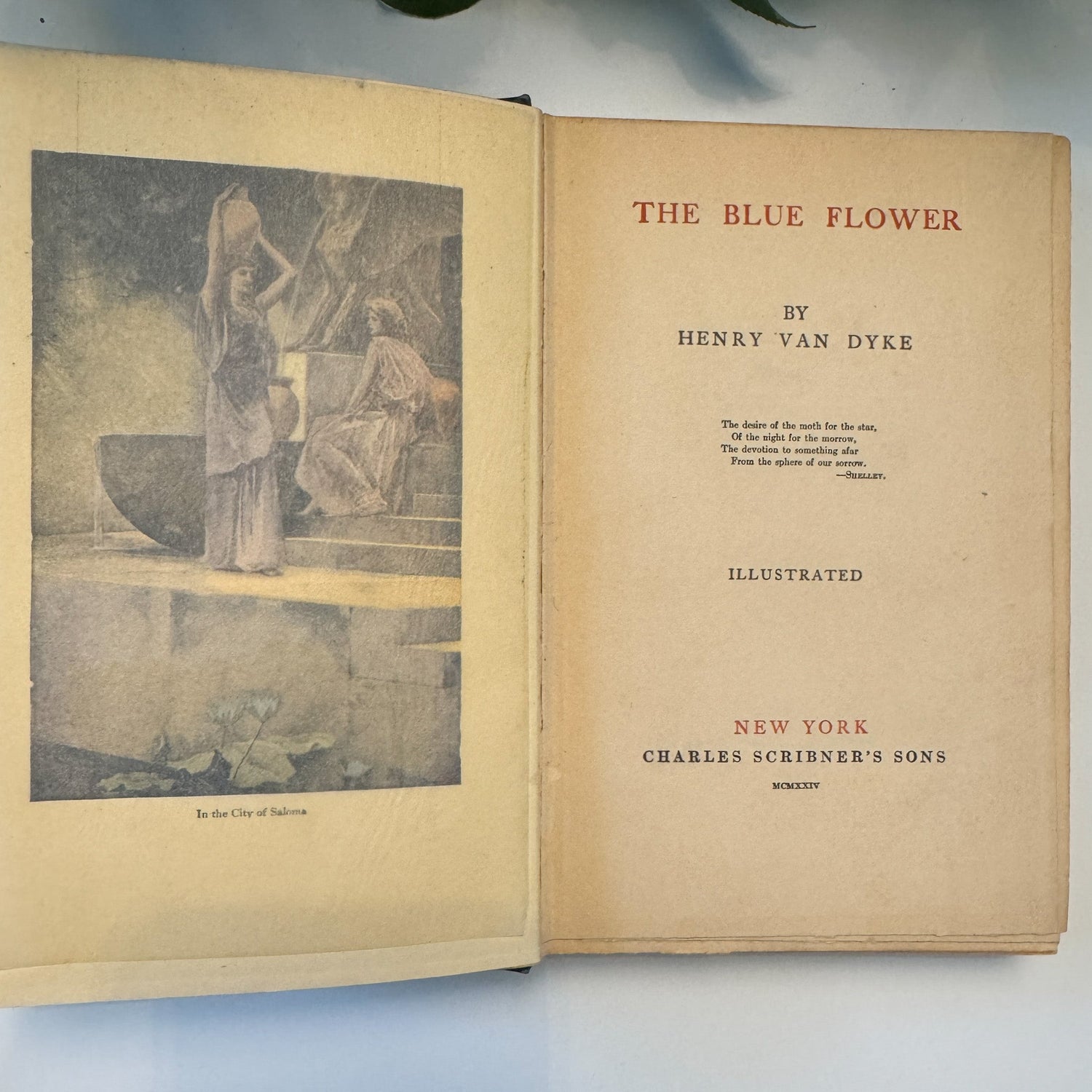 The Blue Flower, Henry Van Dyke, 1924, Navy Blue Ornate Floral Hardcover - Pretty Old Books