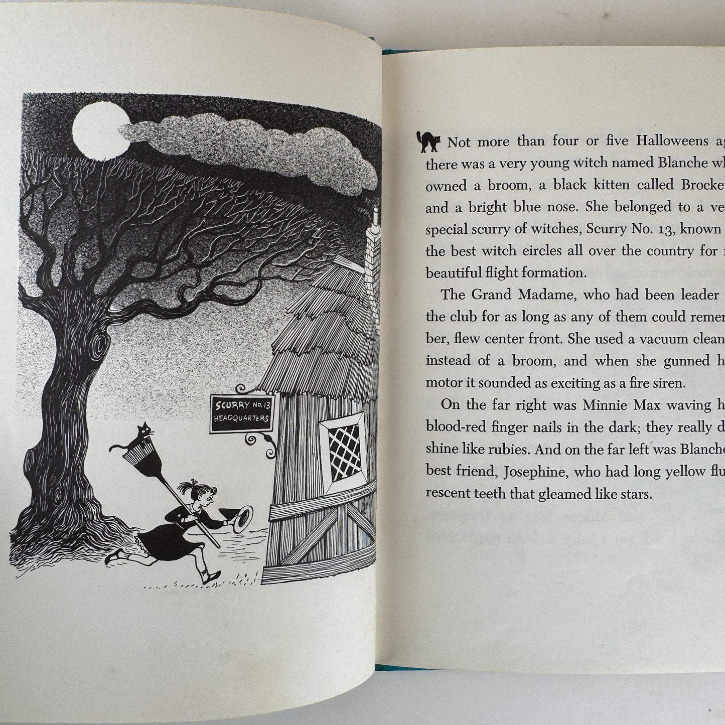 The Blue - Nosed Witch, Margaret Embry, Weekly Reader 1956 Hardcover - Pretty Old Books