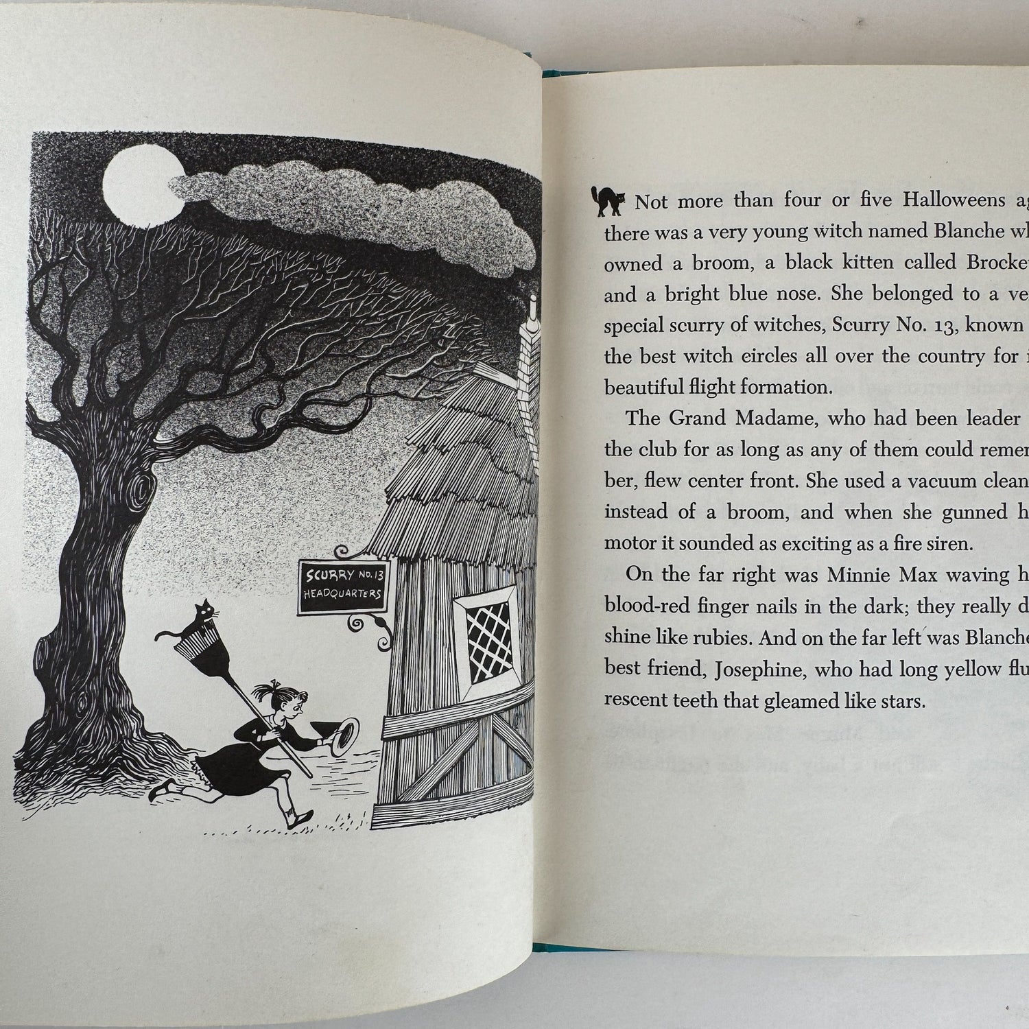 The Blue - Nosed Witch, Margaret Embry, Weekly Reader 1956 Hardcover - Pretty Old Books