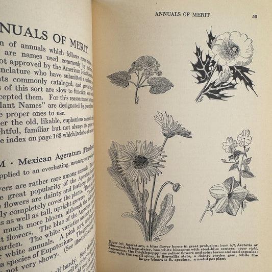 The Book of Annuals, 1930, Alfred C. Hottes, Illustrated - Pretty Old Books