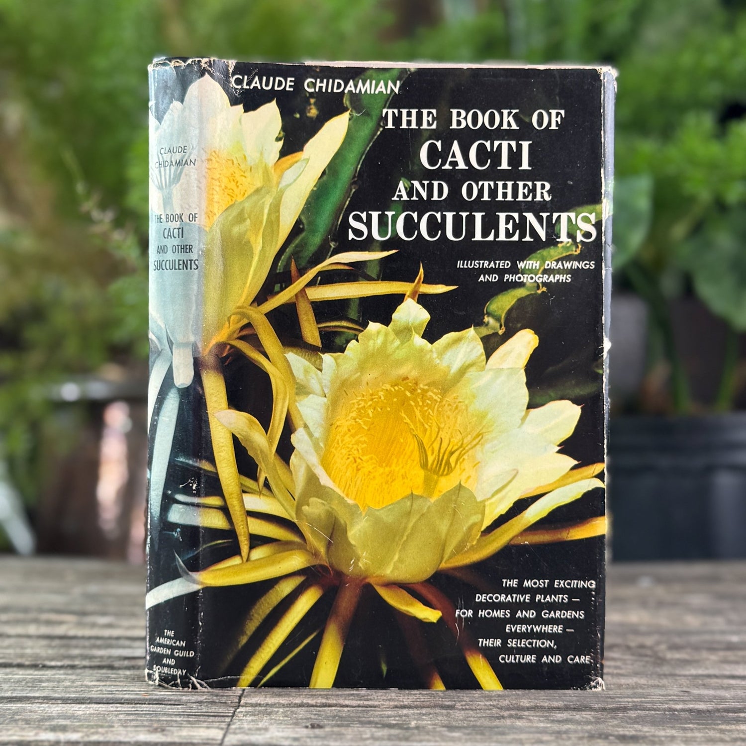 The Book of Cacti and Other Succulents, Claude Chidamian, 1958 - Pretty Old Books
