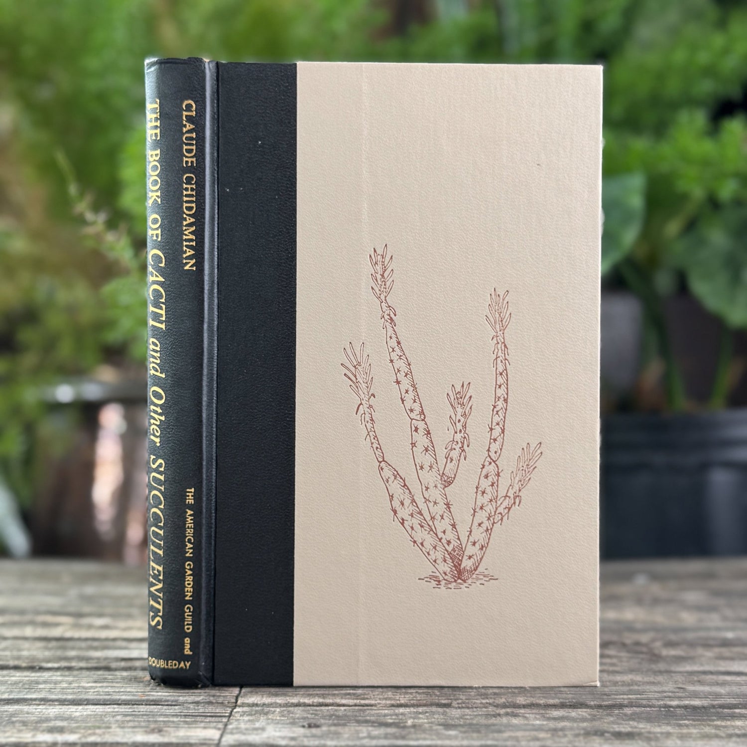 The Book of Cacti and Other Succulents, Claude Chidamian, 1958 - Pretty Old Books