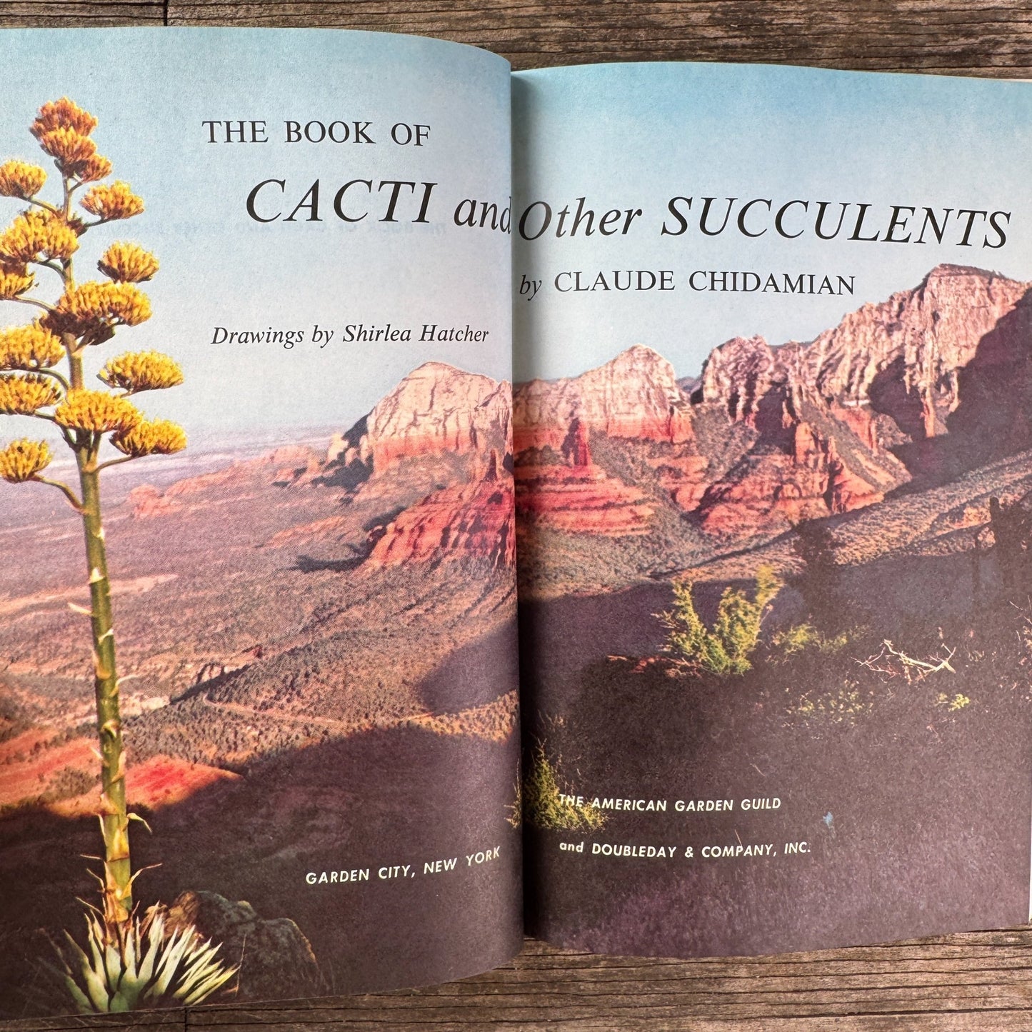 The Book of Cacti and Other Succulents, Claude Chidamian, 1958 - Pretty Old Books