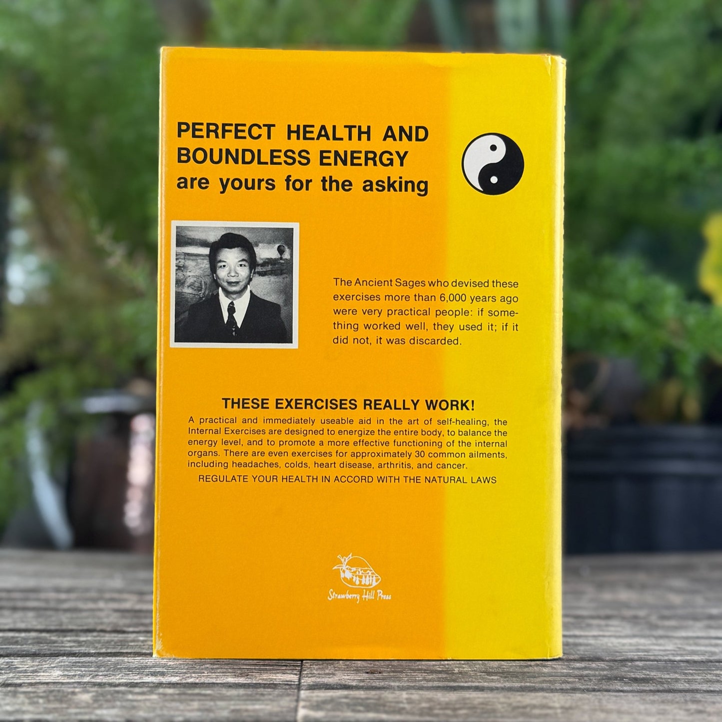 The Book of Internal Exercises, 1981, Taoist, Chinese Medicine Guide - Pretty Old Books