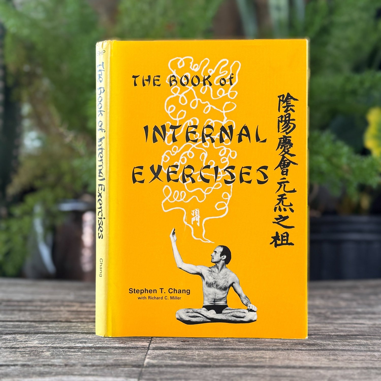 The Book of Internal Exercises, 1981, Taoist, Chinese Medicine Guide - Pretty Old Books