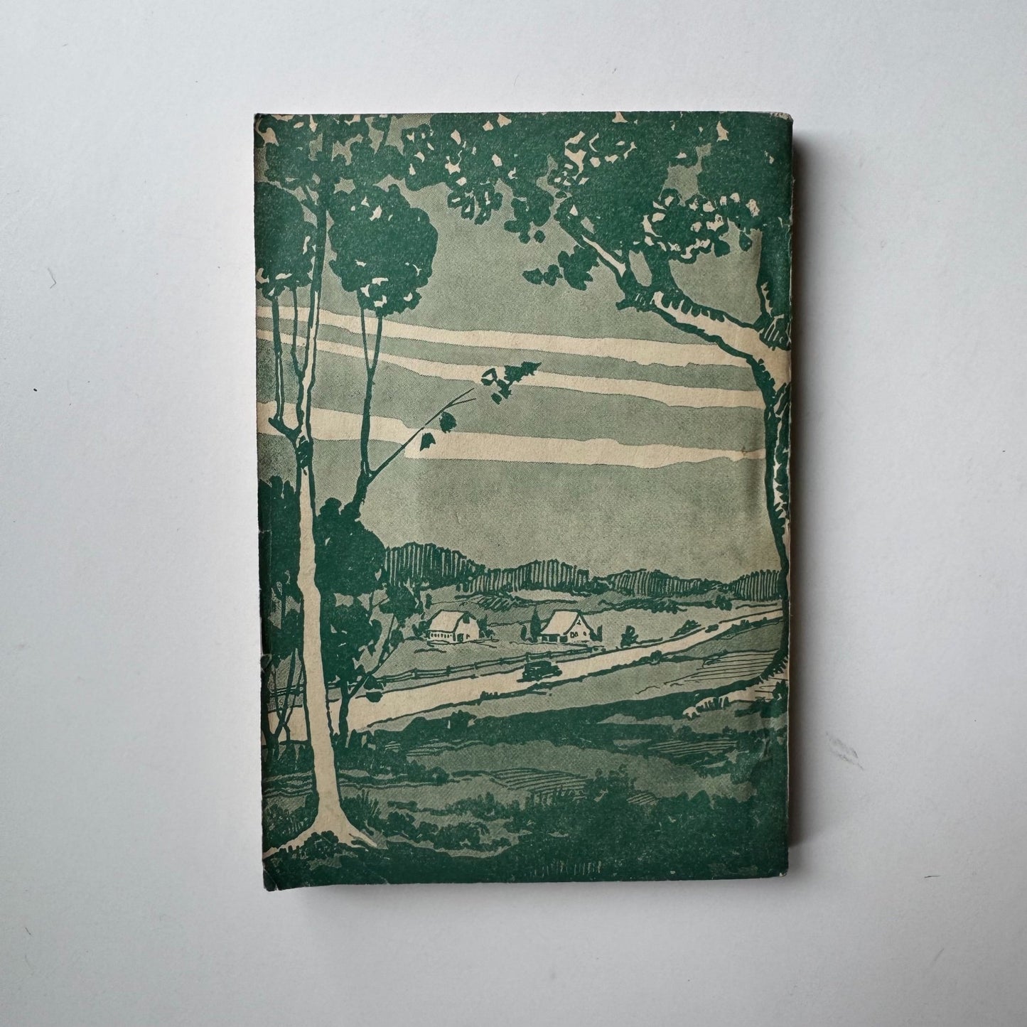 The Book, W.H. Harvey Treatise on Economic Failure, Coin's Financial School, 1930 Paperback (Copy) - Pretty Old Books