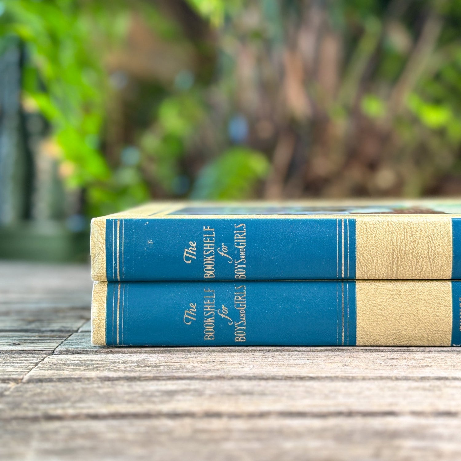 The Bookshelf for Boys and Girls, Volumes 5 and 8, 1970 - Pretty Old Books