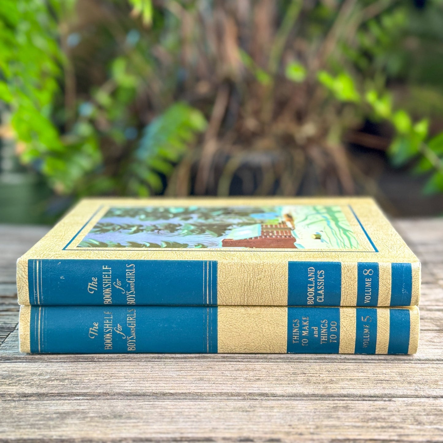 The Bookshelf for Boys and Girls, Volumes 5 and 8, 1970 - Pretty Old Books
