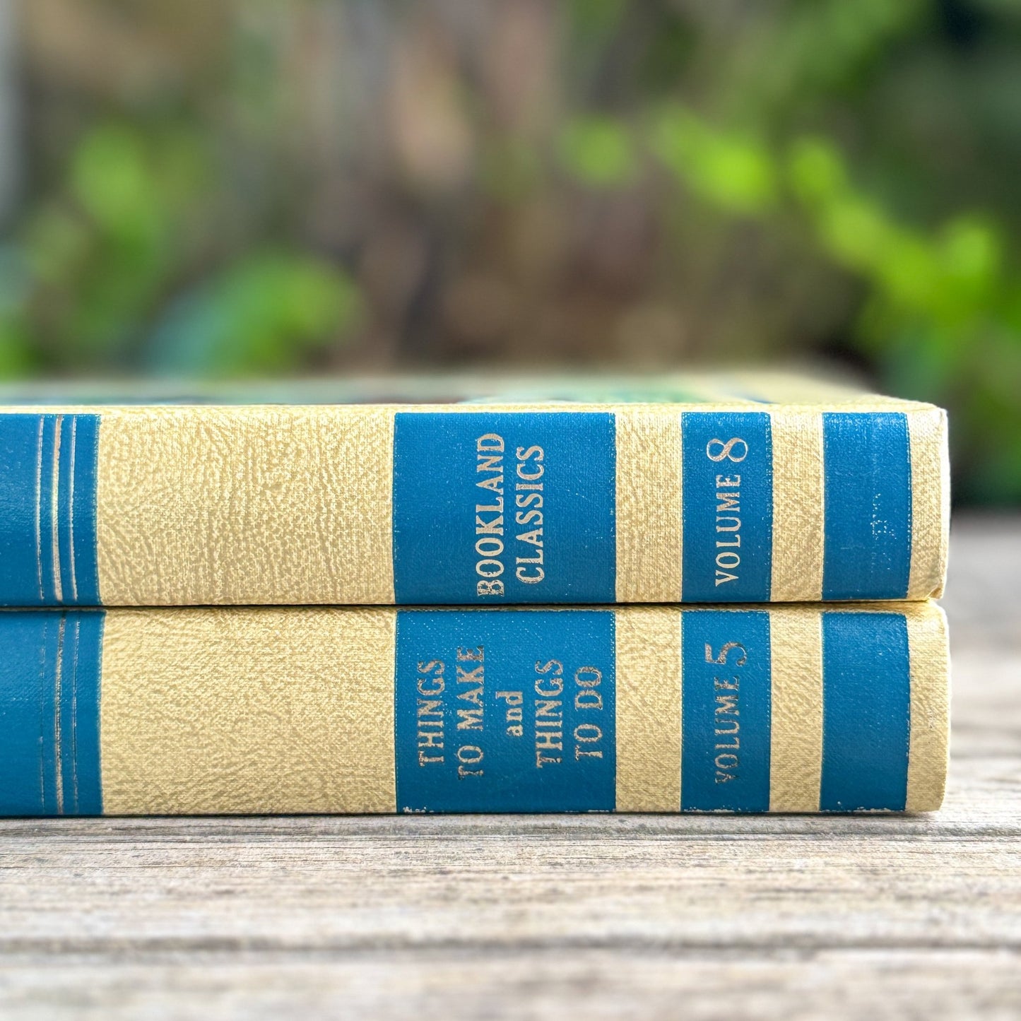 The Bookshelf for Boys and Girls, Volumes 5 and 8, 1970 - Pretty Old Books