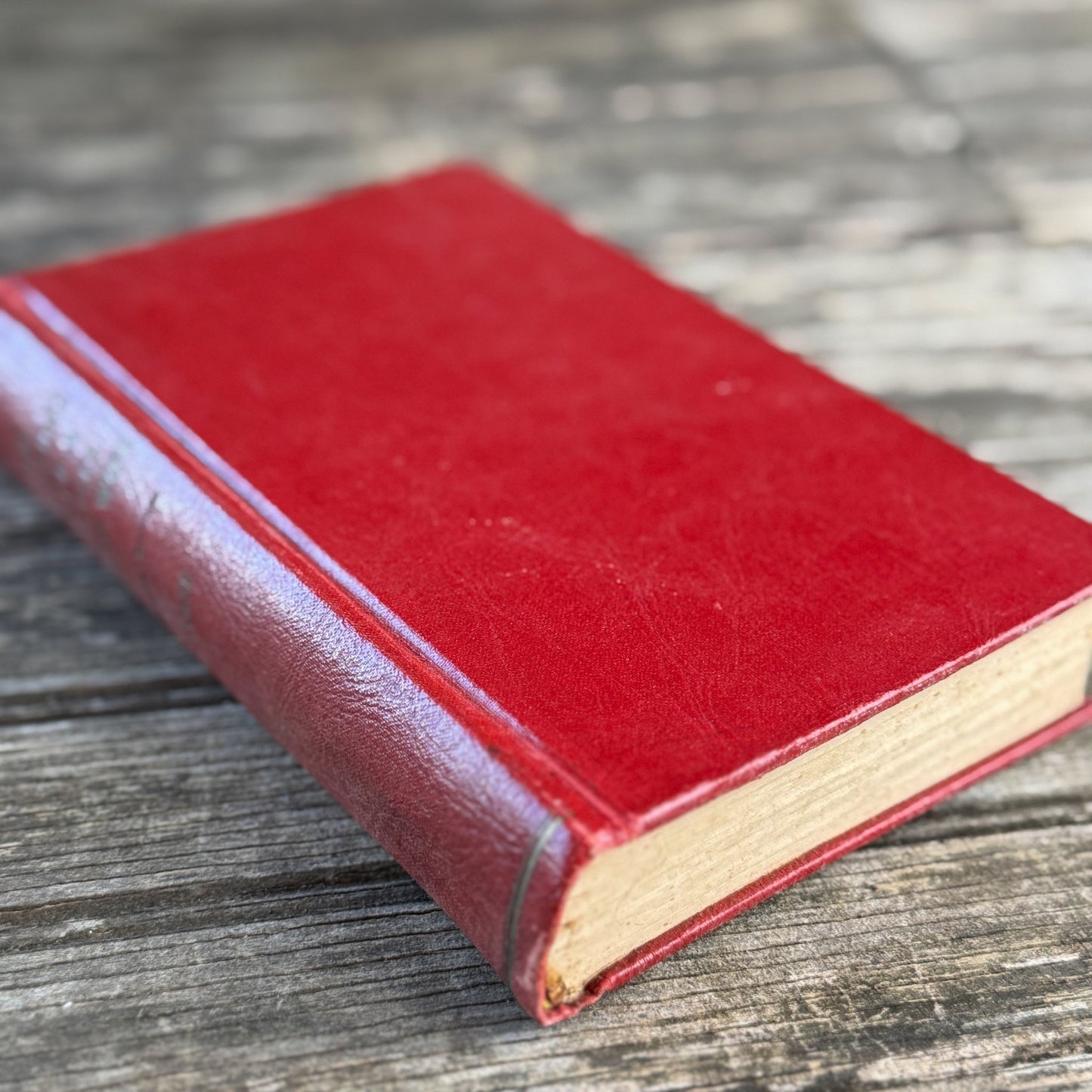 The Breaking In Of a Yachtsman's Wife, 1908, Illustrated - Pretty Old Books